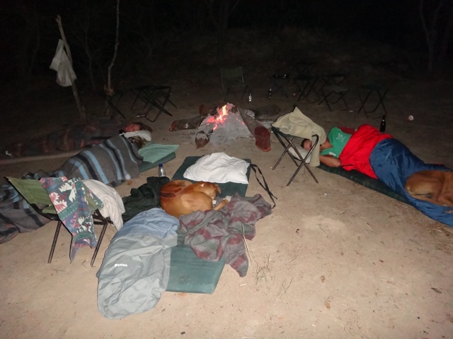 Sleeping by the fire: the dog took my place