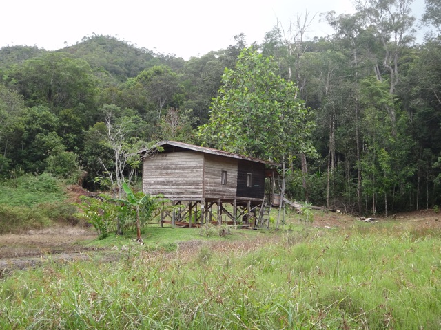 Une cabane