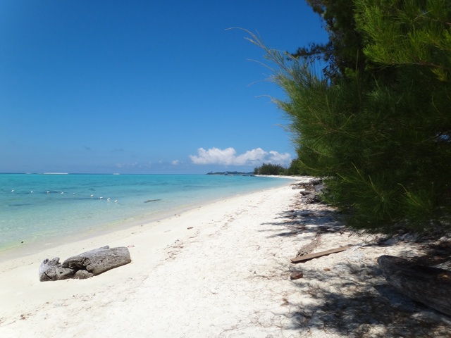 La plage devant le lodge