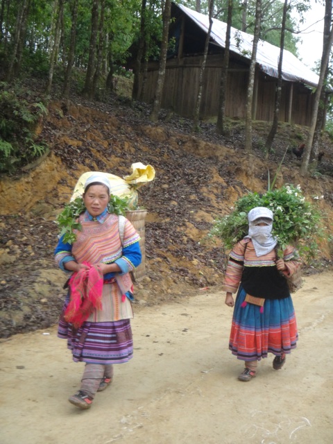 Sur les chemin de la campagne autour de Bac Ha