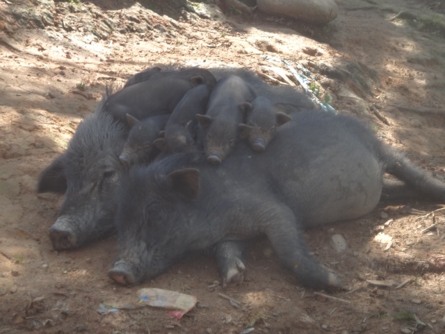 Et pour finir une photo de famille ! 