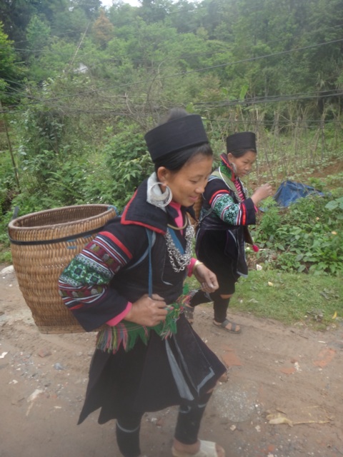 Hmong noir