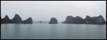 Bai Tu Long