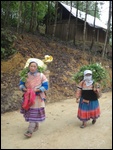 Sur les chemin de la campagne autour de Bac Ha