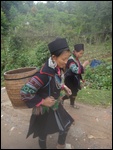 Hmong noir