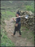 Hmong partant travailler