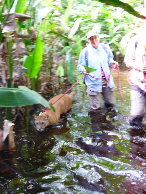 Promenade sur les chemins inondes
