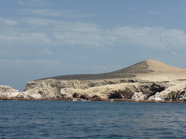 Toutes les tâches noires sur la colline sont 