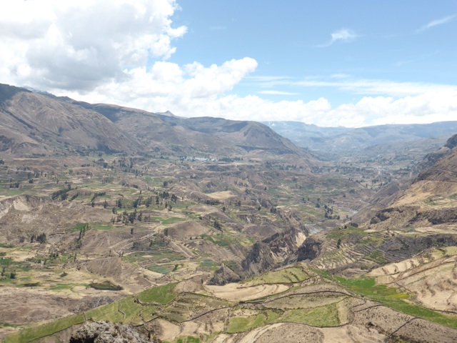 Les cultures en terrasses du canyon