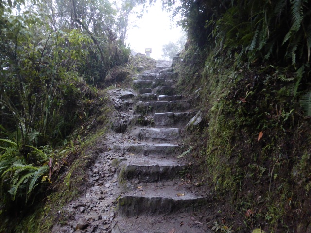 Les marches qui mènent au site de Machu Pichu