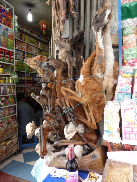 Fœtus de lamas au marché aux sorciè