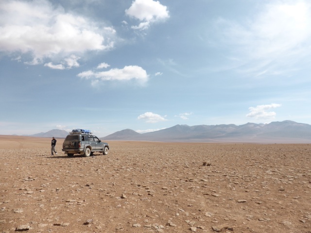 Ça manque un peu d'arbres ... Non ?