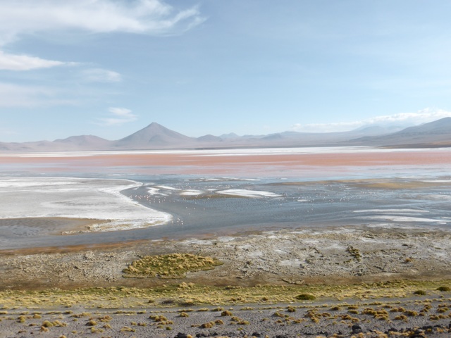Avec encore plein de flamants roses