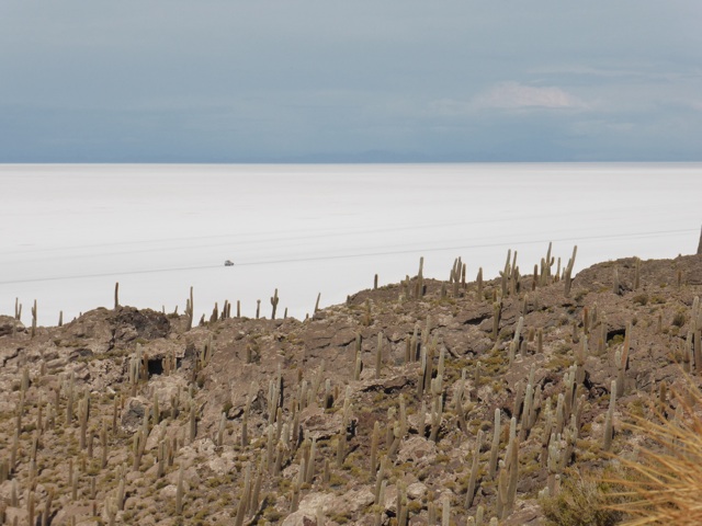 La taille du 4x4 donne une idée de grandeur