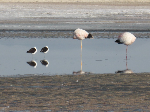 L'heure de la sieste