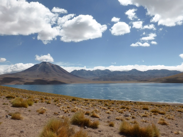 Paysage magnifique de l'altiplano andin