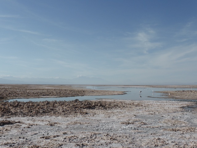 Salar d'Atacama