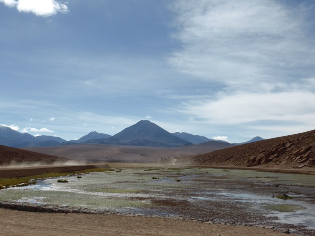 Un peu d'eau et des oiseaux.
