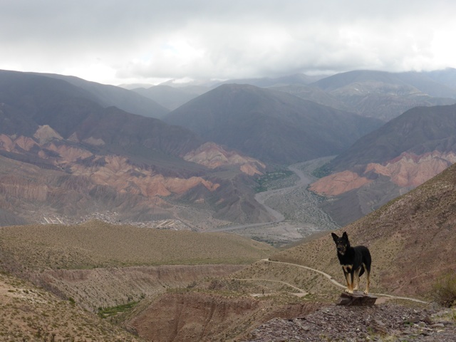 Merci le chien pour le premier plan ...