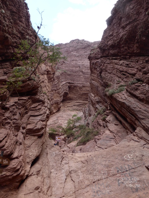 La gargantua del diablo