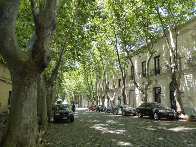 Les rues sont bordées de grands arbres ce qui donne de l'ombre bien appréciée par 33 degrés ! 