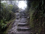 Les marches qui mènent au site de Machu Pichu