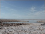 Salar d'Atacama