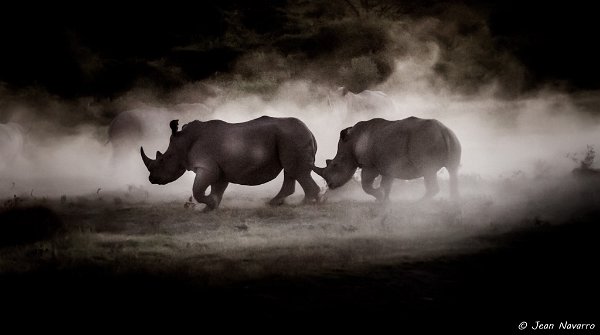 Noir et Blanc Noir et blanc ou Sépia