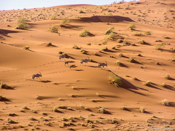 Paysages La beauté de la terre qui nous héberge