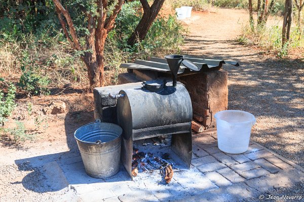 Afrique du Sud Madikwe 2008